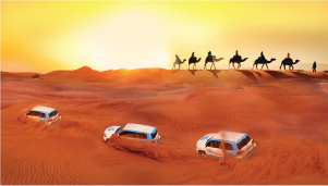Desert Safari