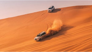 Dubai Desert Safari
