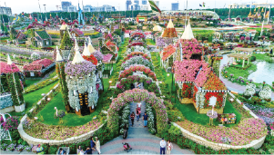 Miracle Garden